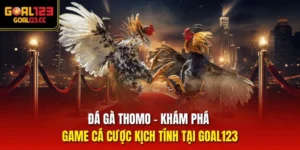 Đá Gà Thomo