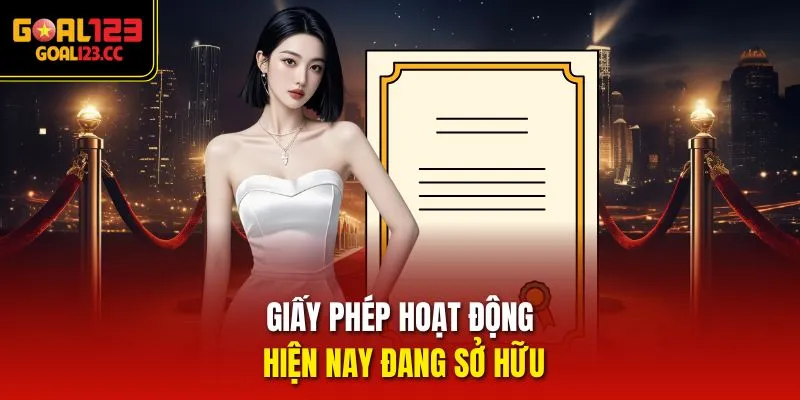 Giấy phép hoạt động hiện nay đang sở hữu